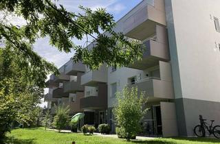 Wohnung mieten in 83278 Traunstein, Hochwertige 2 Z. EG Whg, Terrasse, EBK, TG in Traunstein