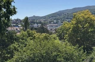 Wohnung mieten in 67433 Neustadt, Liebevoll renovierte Wohnung mit Ausblick: Helle 2,5-Zimmer, EBK, Balkon und Garage