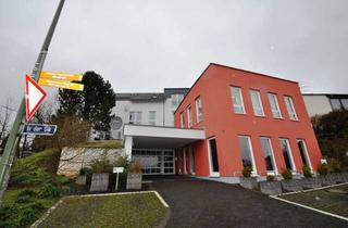 Wohnung mieten in In Der Olk, 54317 Gusterath, Großzügige 3-Zimmer-Wohnung mit Terrasse in Gusterath mit eigenem Zugang