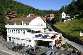 Mehrfamilienhaus kaufen in 69118 Ziegelhausen, Mehrfamilienhaus mit Hotelcharakter