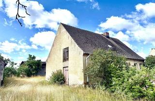 Haus kaufen in 19348 Gülitz-Reetz, Großes Grundstück mit Potenzial – Haus in Wüsten-Vahrnow als Basis für Ihre Ideen