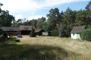 Grundstück zu kaufen in 15913 Alt Zauche, Baugrundstück am Waldrand – wenige Gehminuten zum Briesener See