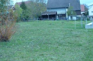 Grundstück zu kaufen in 71083 Herrenberg, Sehr schönes und sonniges Grundstück in gefragter Lage