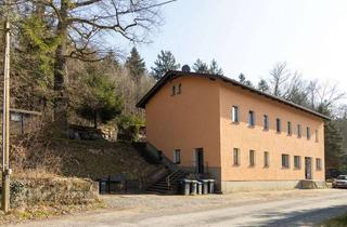 Mehrfamilienhaus kaufen in 01816 Bad Gottleuba, Kleines Mehrfamilienhaus mit Gewerbeeinheit idyllisch im Grünen