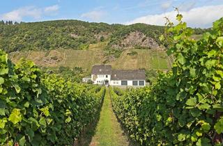 Haus kaufen in 56843 Burg, Ehemaliges Weingut im Außenbereich mit unverbautem Moselblick und 2.730 m² Weinberg direkt am Haus