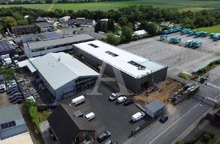 Gewerbeimmobilie mieten in 50126 Bergheim, NEUBAU PRODUKTIONSHALLE IN BERGHEIM | 7 M UKB | EBENERDIG | MIETE | ANGERMANN