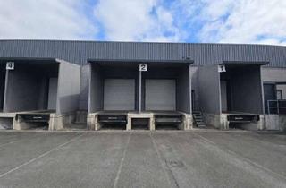 Gewerbeimmobilie mieten in 33442 Herzebrock-Clarholz, Sie brauchen Lagerfläche? Ca. 7.570 m² Lagerhalle mit guter Andienung in Herzebrock-Clarholz