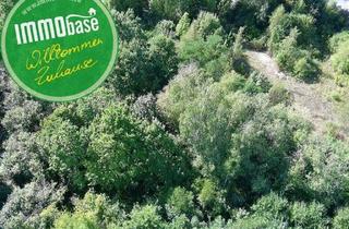 Grundstück zu kaufen in 09661 Hainichen, Großzügiges Entwicklungsgrundstück in ruhiger Lage von Hainichen!
