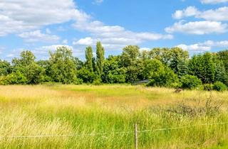 Grundstück zu kaufen in An Der Aller 43, 39646 Oebisfelde, 2.818 m² Traumgrundstück – Wohnen, Bauen & Leben mit Tieren