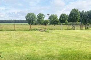 Immobilie kaufen in 03238 Finsterwalde, Bauernhof mit viel Platz