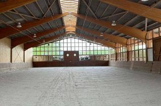 Gewerbeimmobilie kaufen in Neu Waldhof, 38518 Gifhorn, Luxus, Natur und Pferdeglück vereint! Reitanlage mit Fachwerk-Reetdachhaus in Gifhorn