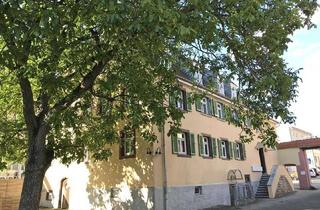 Wohnung mieten in Weiherer Str., 76698 Ubstadt-Weiher, 2-Zimmer-Dachwohnung mit EBK + saniertem Tageslichtbad zentral in Ubstadt