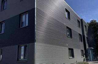 Wohnung mieten in Klützer Straße 38b, 23948 Damshagen, Wohnen mit Charakter: Moderne 4-Zimmer-Wohnung in Damshagen