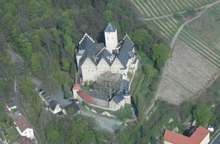 Gewerbeimmobilie kaufen in Ernst Sachs Strasse, 97453 Schonungen, Schloss in Franken mit 10 Veranstaltungsräumen