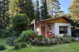 Haus kaufen in 15713 Königs Wusterhausen, Massiver Bungalow in Seenähe mit großem Garten