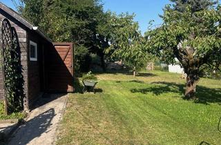 Einfamilienhaus kaufen in 09228 Wittgensdorf, Kleines Einfamilienhaus in toller Gegend mit riesigem Garten sucht neue Besitzer!