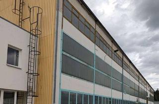 Gewerbeimmobilie mieten in 02943 Boxberg, Lager- Produktionshalle mit Kranbahn