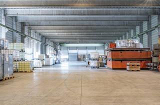 Gewerbeimmobilie mieten in Cranger Straße 11, 45661 Recklinghausen, Lager-, Umschlag- & Montagehalle bis 5.000 m² – Deckenkran, direkt an A2/A43