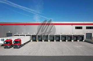 Büro zu mieten in 59494 Soest, KEINE PROVISION ✓ SCHNELL VERFÜGBAR ✓ 24/7 ✓ Lager-/Logistik (19.500 m²) & Büro (1.400 m²)