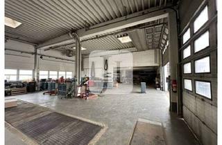 Büro zu mieten in 21220 Seevetal, ca. 7.299 m² Grundstücksfläche bebaut mit ca. 2.356 m² Lager-/Werkstatt- und Büroflächen, teilbar