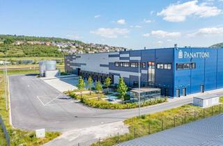 Gewerbeimmobilie mieten in Industriestraße 4a, 97483 Eltmann, NEUBAU Logistikimmobilie Panattoni Park Unterfranken - Provisionsfrei