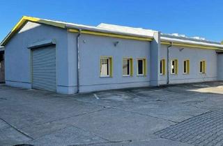 Büro zu mieten in Fraunhoferstraße 10-12, 04178 Böhlitz-Ehrenberg, Beheizte Gewerbehalle 519 m² + 110 m² Büro | Produktion/Lager | Leipzig