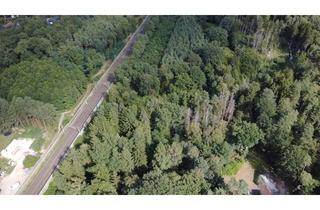 Grundstück zu kaufen in 38518 Gifhorn, Waldgrundstück in Gifhorn-Winkel – 9.040 m² Natur mit Gewässerlauf