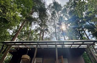 Grundstück zu kaufen in Hauptweg 10, 04808 Falkenhain, Wochenendgrundstück Dahlener Heide / Seenähe
