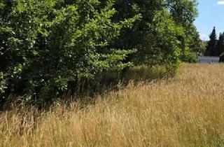 Grundstück zu kaufen in 93133 Burglengenfeld, Auch für Neubau: mehrere Wohneinheiten mit Gartenanteilen, Garagen! Großes Grundstück mit Altbestand