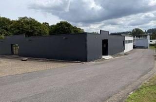 Büro zu mieten in 31789 Hameln, Büro Chamäleon an der Gewerbeschlagader von Hameln-Wangelist