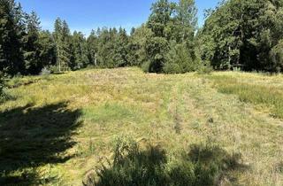 Immobilie kaufen in 85659 Forstern, Ländliches Paradies/ Wald-Wiese-Wasser