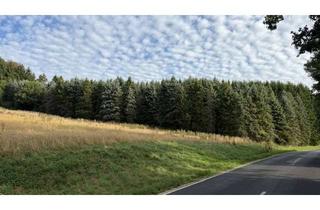 Immobilie kaufen in Lissendorfer Straße, 54578 Oberbettingen, Waldgrundstück mit Blaufichten in Oberbettingen zu verkaufen