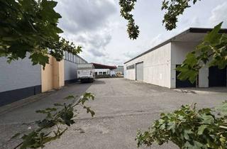Immobilie mieten in 31789 Hameln, Gewerbecampus in herausragender Lage in Hameln-Wangelist