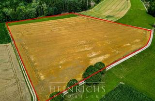 Gewerbeimmobilie kaufen in 84416 Taufkirchen, Landwirtschaftliche Fläche in Taufkirchen (LK Erding) 4,5 ha
