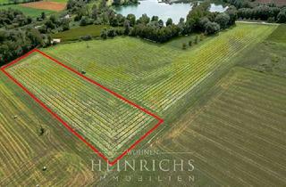 Gewerbeimmobilie kaufen in 85410 Haag, AgrarKapital: Landwirtschaftliche Fläche in Haag/Amper - Grünland mit 1,11 ha, 48/46, LIIIb2