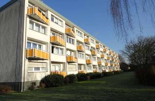 Wohnung mieten in Gleiwitzer Str., 47239 Rumeln-Kaldenhausen, Renovierte 3-Zimmerwohnung im 1. OG bezugsfertig mit Balkon und Vinylboden...