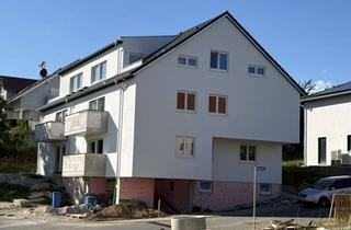 Wohnung mieten in Im Lottermann, 74861 Neudenau, Neubau 4,5 Zimmer 124m2 Garten/Küche/Aufzug
