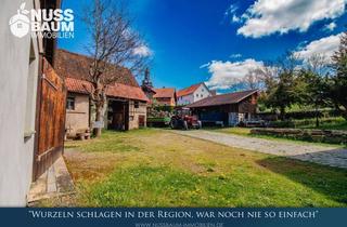 Haus kaufen in Kolkwitz 29, 07407 Uhlstädt-Kirchhasel, Idyllischer Hof mit Nebengebäuden und Option auf 28.000 m² Land- und Waldflächen | Kolkwitz