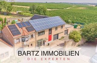 Anlageobjekt in 67278 Bockenheim, Modernisiertes Zweifamilienhaus mit separatem Lager in toller Weinberglage