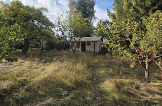 Grundstück zu kaufen in 15370 Petershagen, Hauptstadtmakler- Traumhaftes Grundstück in guter Lage