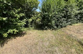 Immobilie kaufen in 91413 Neustadt, Wohnbaugrundstück in Neustadt/Aisch -500 m² zum Höchstgebot verfügbar-