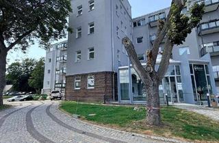 Wohnung kaufen in 08297 Zwönitz, Einziehen: Großzügige und moderne 4-Raum-Wohnung im Lebensquartier Zwönitz: 103 m², Balkon, Aufzug &
