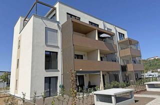 Wohnung mieten in Wilhelm-Schmidt-Str. 15, 92339 Beilngries, Neubau/Erstbezug: Hochwertige 4-Zimmer-Obergeschoss-Whg. mit EBK u. 2 TG-Stellplätzen in Top Lage