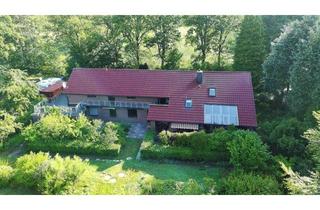 Einfamilienhaus kaufen in 26446 Friedeburg, Einfamilienhaus m. Einliegerwohnung Grünland in naturnaher Lage Friedeburg