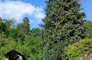 Haus mieten in 37441 Bad Sachsa, Selbstversorger - hier geht es - Riesiger Garten