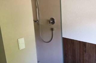 Wohnung mieten in Schweizerhof, 86609 Donauwörth, Sonnige, helle 5-Zimmer-Wohnung in Donauwörth