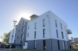 Wohnung mieten in 38304 Wolfenbüttel, Erstbezug 2-Zimmer-Wohnung 83qm2 mit barrierefreiem Zugang in Wolfenbüttel