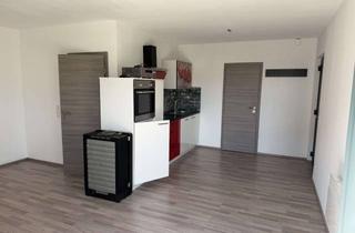 Wohnung mieten in Im Birket 24, 88416 Ochsenhausen, Einzimmerwohnung in Ochsenhausen