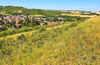 Grundstück zu kaufen in Nordpfalzblick, 67821 Alsenz, Neubaugebiet in Alsenz: Dieser Ausblick könnte bald Ihnen gehören! Baugrundstücke mit Panoramablick