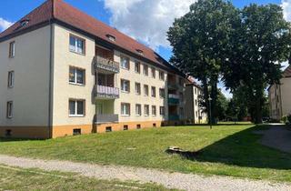 Wohnung mieten in Brückenstraße 14a, 14913 Jüterbog, Tolle geräumige 3 Zimmerwohnung im Erdgeschoss mit Balkon